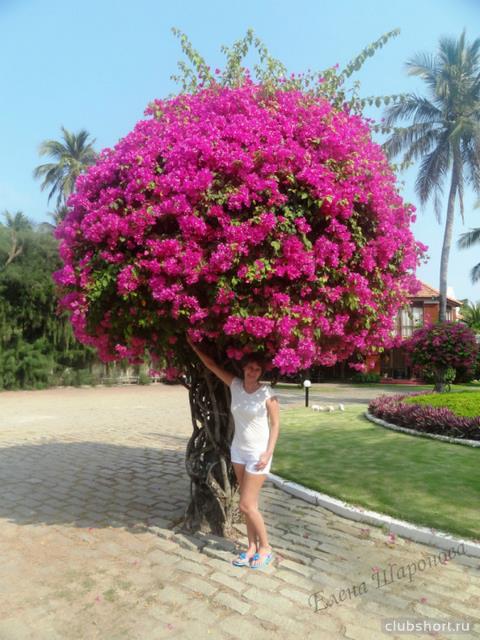 38435_179270-40df3-85702093-m750x740-ub1520.jpg